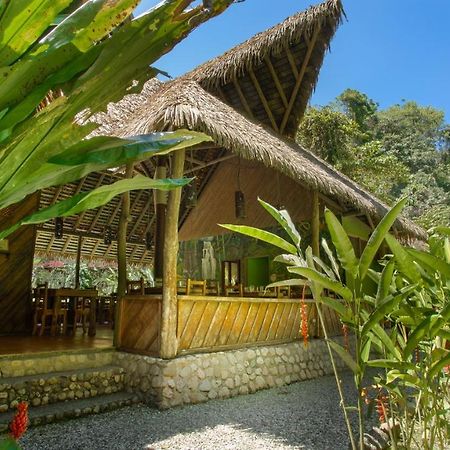 Esquinas Rainforest Lodge 골피토 외부 사진