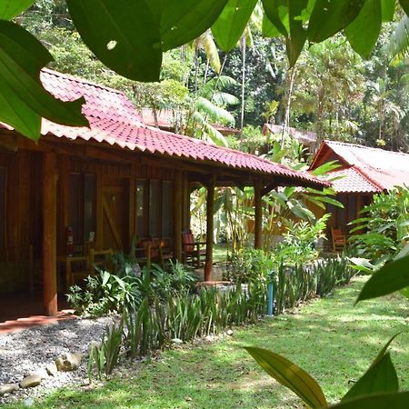 Esquinas Rainforest Lodge 골피토 외부 사진