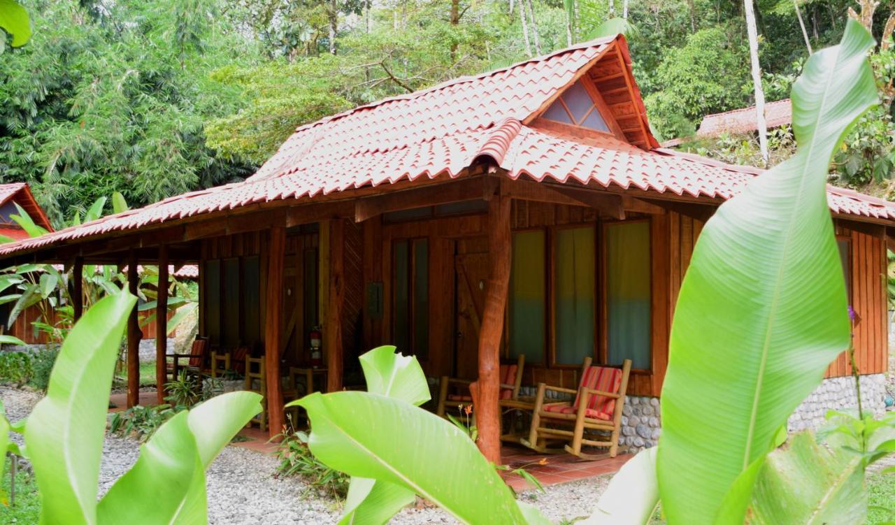 Esquinas Rainforest Lodge 골피토 외부 사진