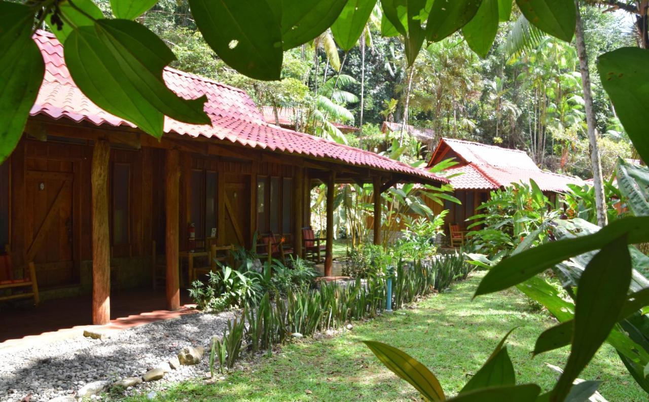 Esquinas Rainforest Lodge 골피토 외부 사진