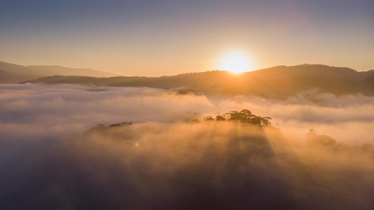 Esquinas Rainforest Lodge 골피토 외부 사진