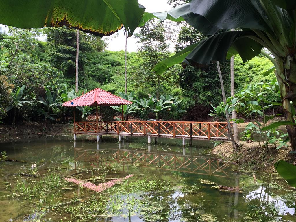 Esquinas Rainforest Lodge 골피토 외부 사진