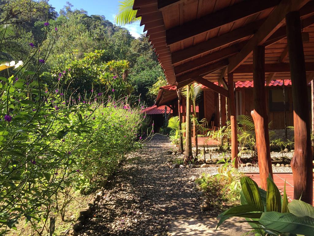 Esquinas Rainforest Lodge 골피토 외부 사진