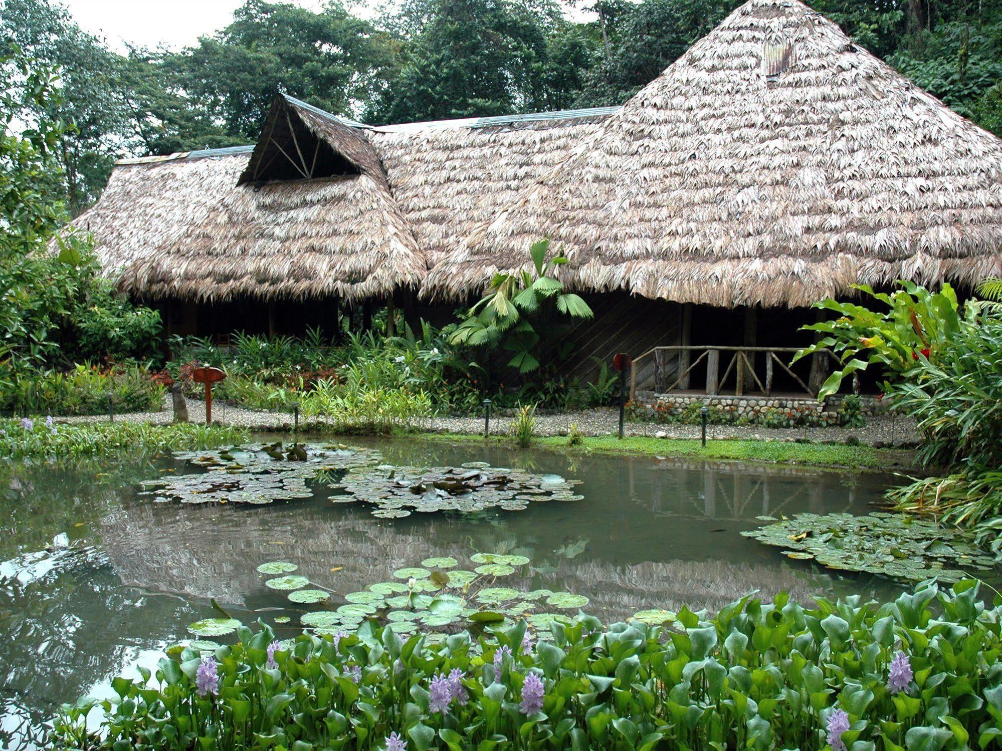 Esquinas Rainforest Lodge 골피토 외부 사진