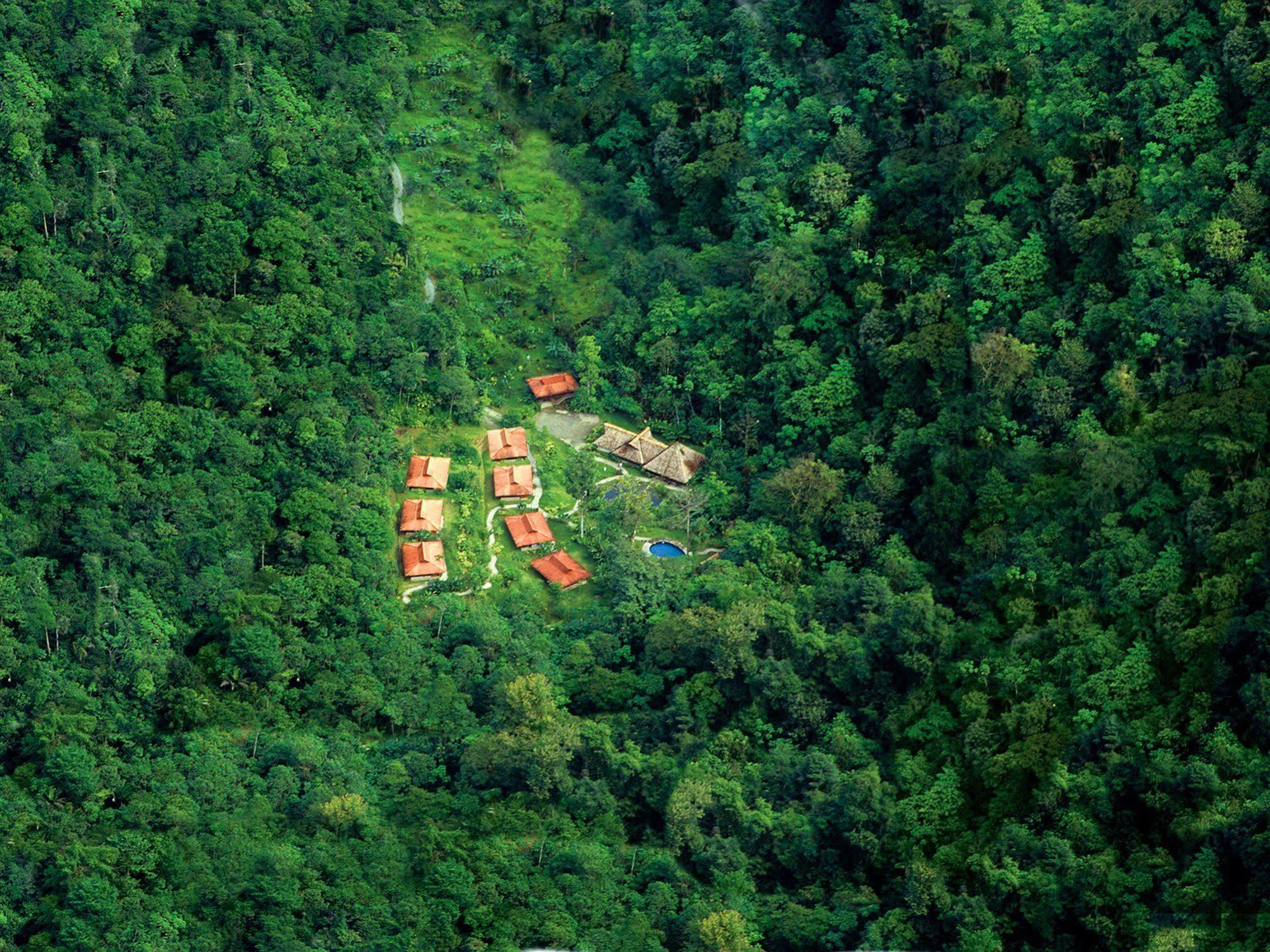 Esquinas Rainforest Lodge 골피토 외부 사진