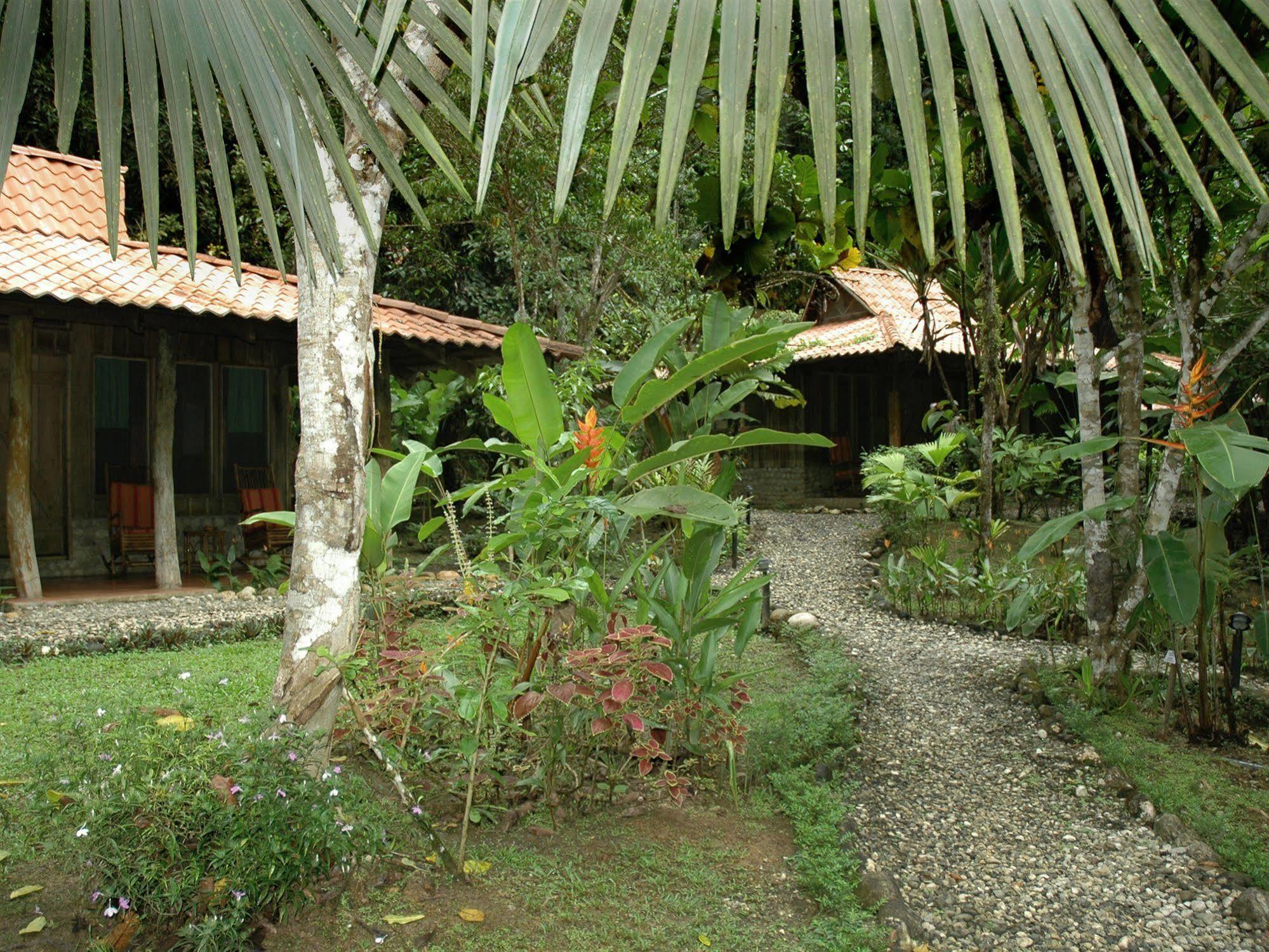 Esquinas Rainforest Lodge 골피토 외부 사진