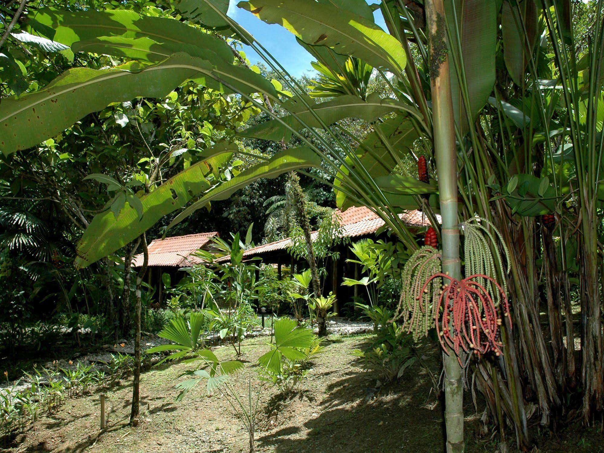 Esquinas Rainforest Lodge 골피토 외부 사진