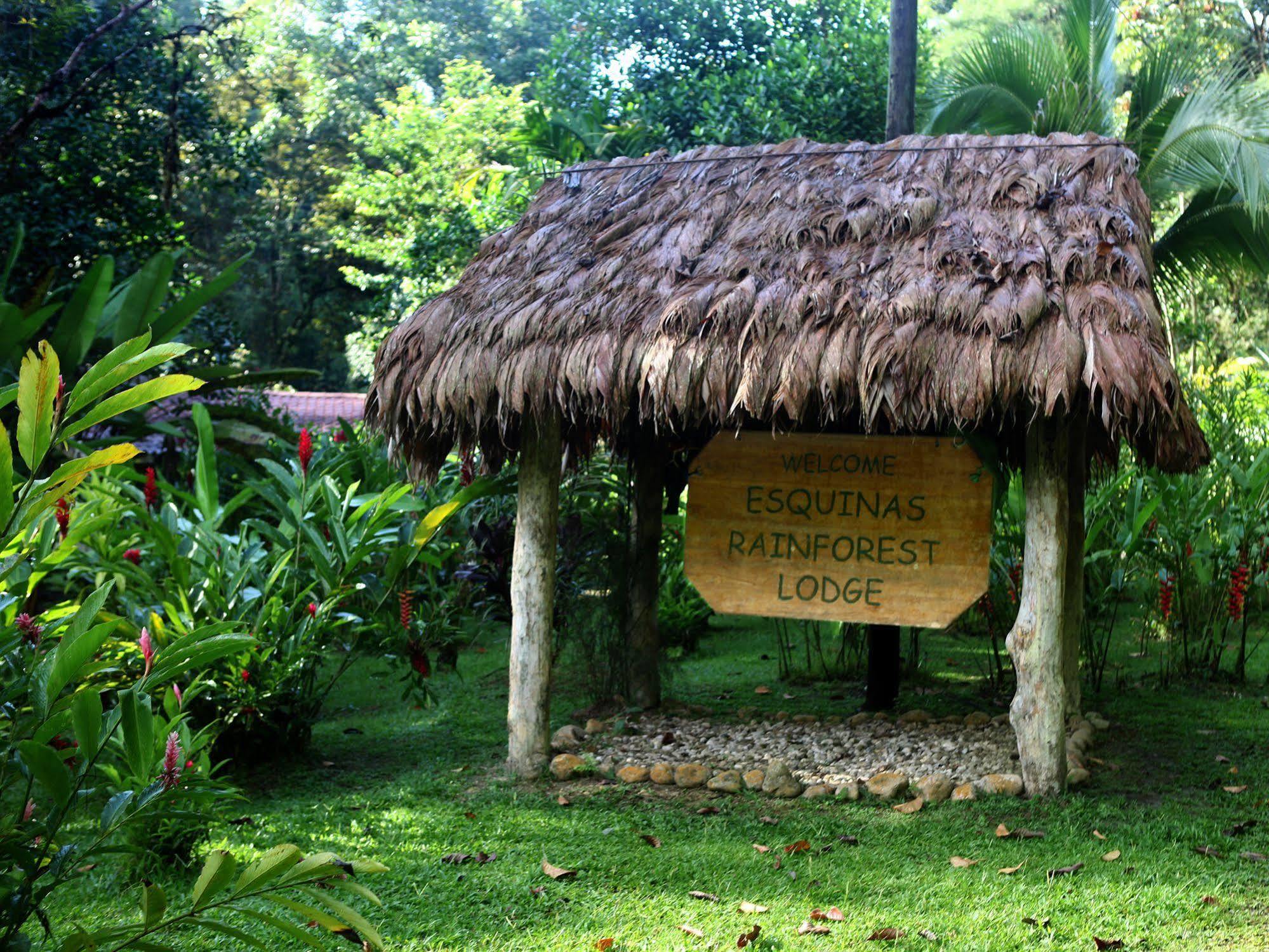 Esquinas Rainforest Lodge 골피토 외부 사진